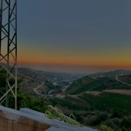 Casa Rural Malaga Monkey Love Con Jacuzzi Iznate Екстер'єр фото